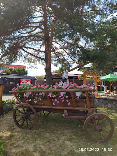 Comentarii opinii despre Motorest Salaš u Franka