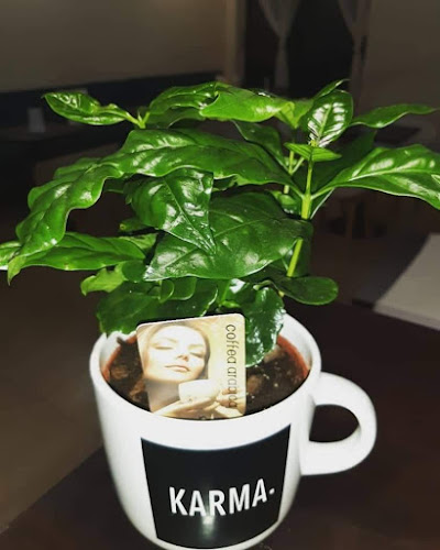 Turecká 4/b, 903 01 Senec