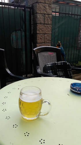 Pivaren Lemon - Craft Beer - Vrakuňa