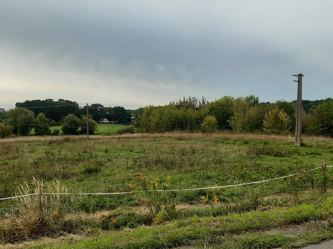 Comentarii opinii despre Reštaurácia Fontána