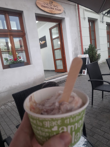 Zmrzlina Tulip - Gastronómia a pohostinstvo