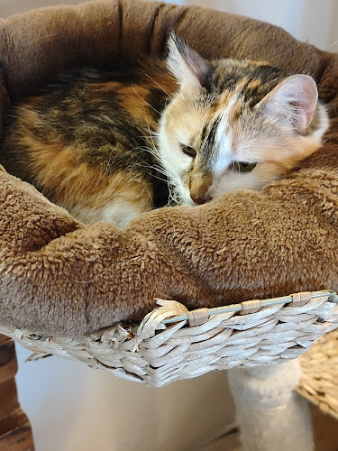 Zámocká 7327/24, 811 01 Bratislava-Hrad