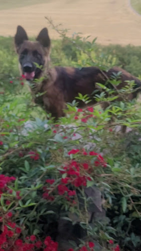 Pivnica a penzión u Pištu