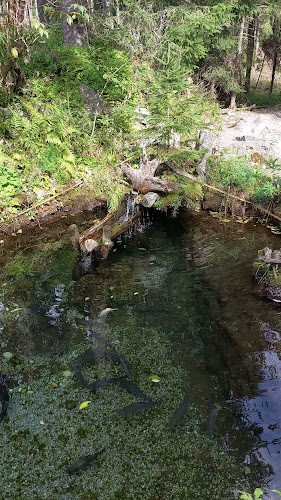 Zuberec 379, 027 32 Zuberec