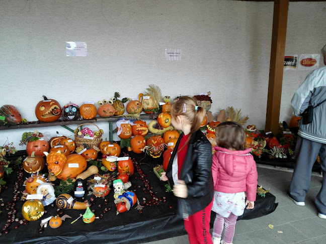 Comentarii opinii despre Stupavský trh