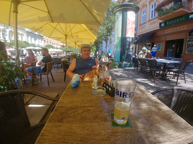 Café Dias Schalkház - Staré Mesto