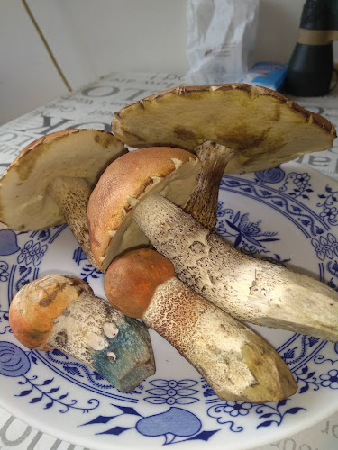 Comentarii opinii despre Kembridž Pub