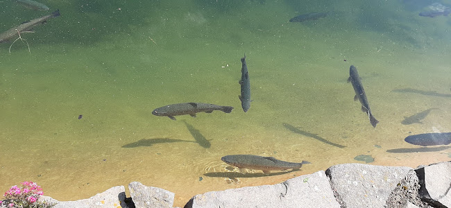 Koliba Fatranka - Gastronómia a pohostinstvo