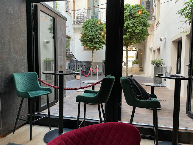 Comentarii opinii despre Gatto Matto Panská