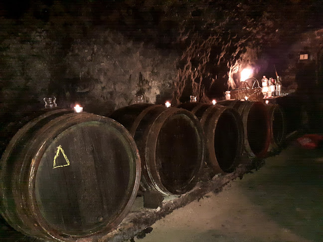 Gazdovská historická pivnica - Gastronómia a pohostinstvo