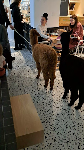 Opinii despre Bite&Byte în Bratislava - Gastronómia a pohostinstvo