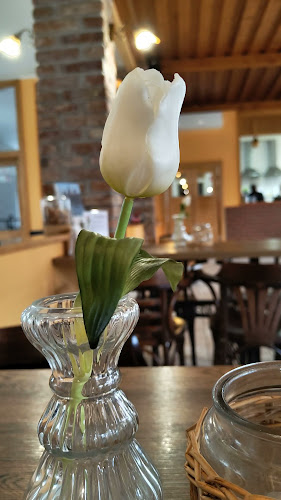 Podhora 1319/26, 034 01 Ružomberok