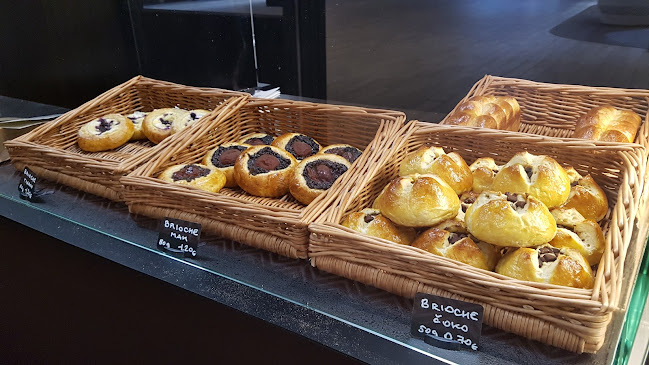 JaboJrout - Žabožrút