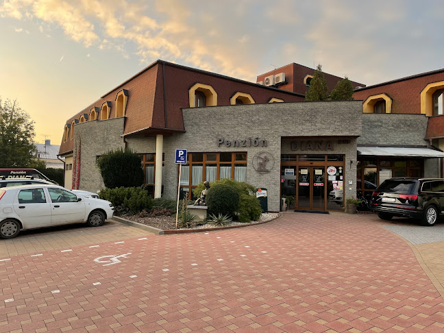 Comentarii opinii despre Restaurant at penzion Diana
