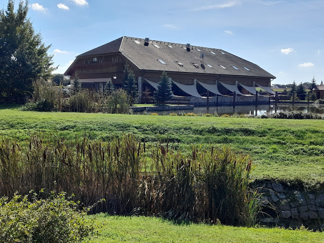 Družstevná 1057/84, 956 17 Solčany