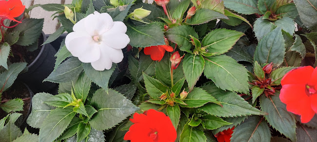 Priekopa, 036 01 Martin