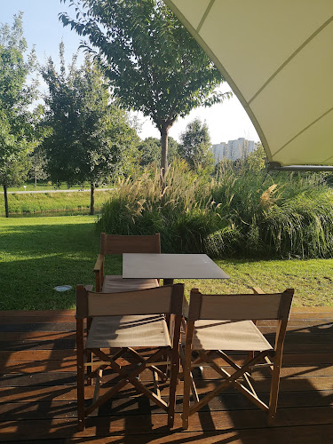 Rusovská cesta 54, 851 01 Petržalka