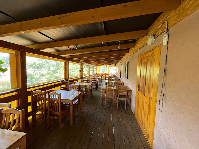 Stanica Camden - Trnavá Hora