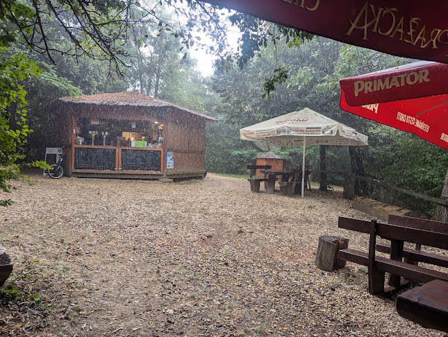 Opinii despre DO Lesa în Sídlisko KVP - Gastronómia a pohostinstvo