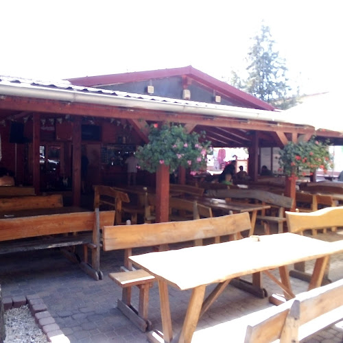 Opinii despre U Anjela - reštaurácia a zábavný centrum pri termálnom kúpalisku în Veľký Meder - Gastronómia a pohostinstvo