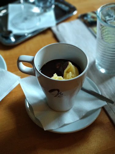 Comentarii opinii despre Monsalvy