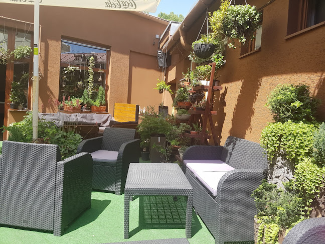 Rio Pub - Gastronómia a pohostinstvo