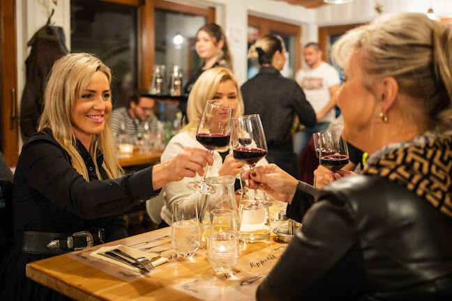 Comentarii opinii despre Nitriansky Furmanský Dvor