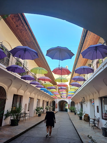 Opinii despre Čierny Orol - Reštaurácia în Košice - Gastronómia a pohostinstvo