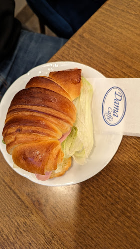 Sasinkova 2633/1, 811 08 Bratislava