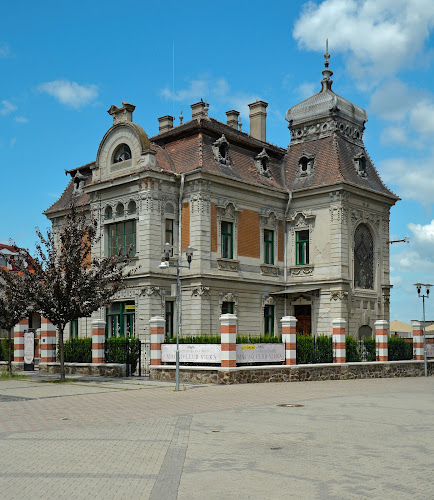 Kaviareň Vilka - Topoľčany