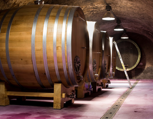 Comentarii opinii despre Vinotéka Slimák 1. poschodie OD Slimák