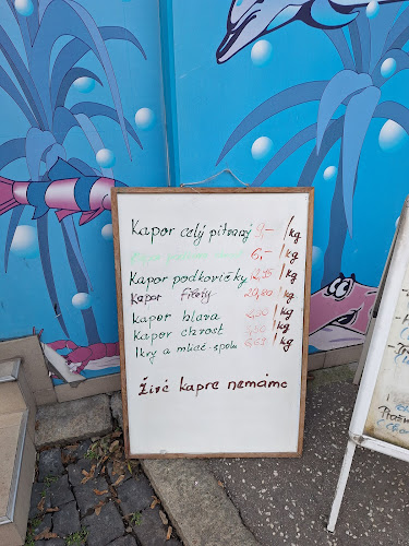 Ryby a Morské špeciality - Ružinov