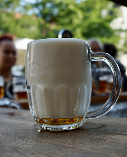 Čajka - Gastronómia a pohostinstvo