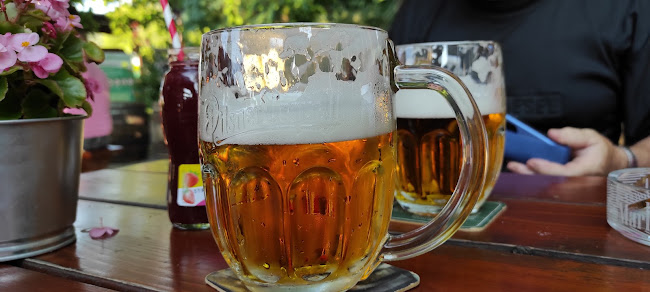 Comentarii opinii despre Bistro Malinovo