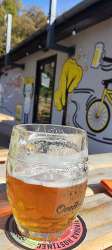 Pod vlekom 1394, 040 01 Sever