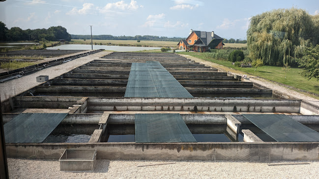 24 Lakes Restaurant - Gastronómia a pohostinstvo