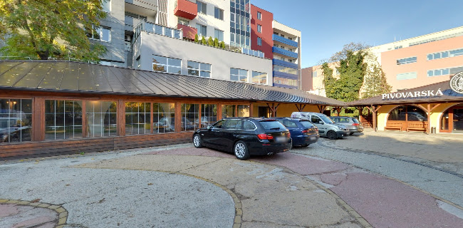 Comentarii opinii despre Bratislavský Meštiansky Pivovar