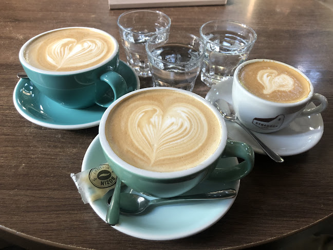 Synagóga café - Trnava