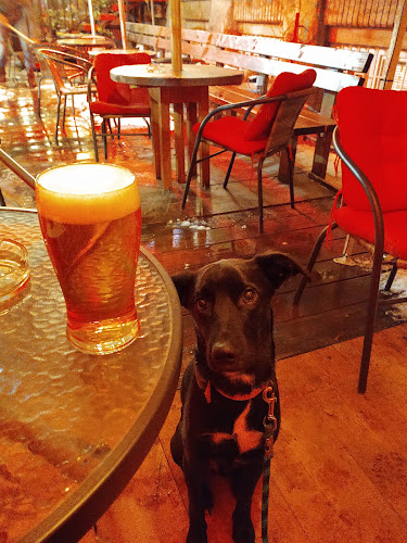 .klub pod lampou - Bratislava