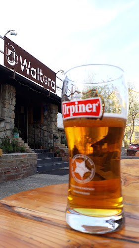 Comentarii opinii despre U Waltera