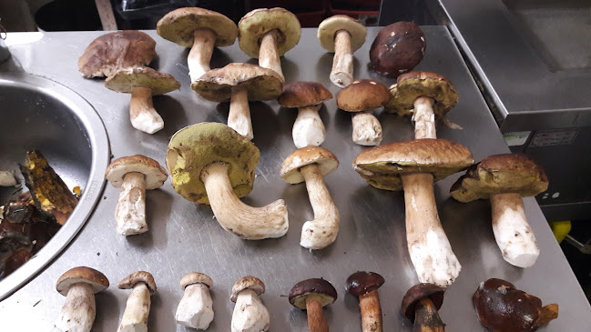 Opinii despre U Pltníka în Ružomberok - Gastronómia a pohostinstvo