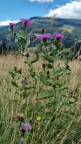 Opinii despre Koliba pod Kráľovou hoľou Telgárt în Telgárt - Gastronómia a pohostinstvo
