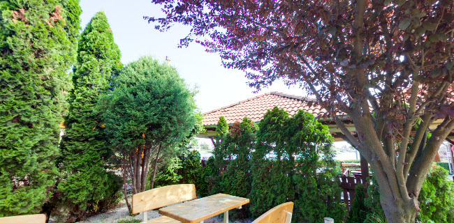 Comentarii opinii despre Tankovňa Lumax