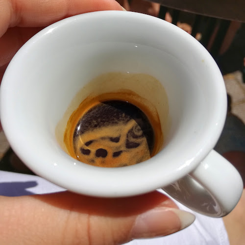 Caffé Trieste - Gastronómia a pohostinstvo