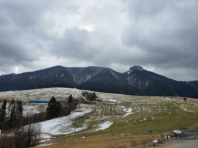 Salaš - koliba Syrex - Gastronómia a pohostinstvo