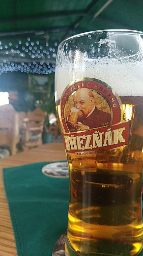 Comentarii opinii despre Poľovnícka vináreň "Polovka"