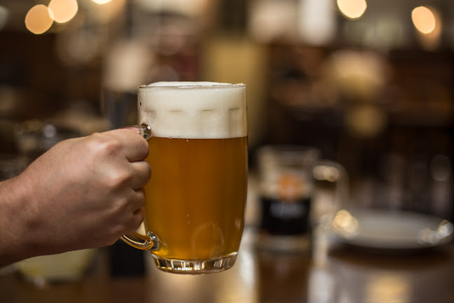 Bratislavský Meštiansky Pivovar - Gastronómia a pohostinstvo