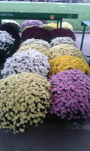 Opinii despre Trhovisko pri OC Družba în Trenčín - Gastronómia a pohostinstvo