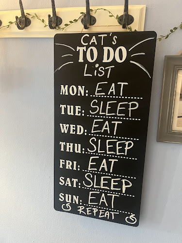 Opinii despre Mačkafé klub în Bratislava - Gastronómia a pohostinstvo