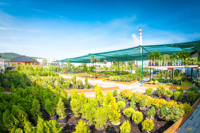 Garden cafe - Maškrtná Katka - Malé Uherce